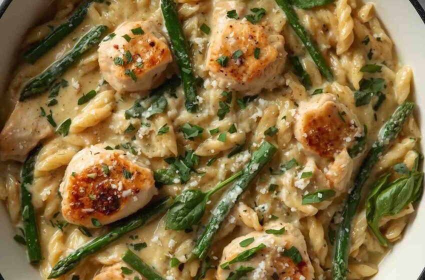 High-Protein Chicken Orzo